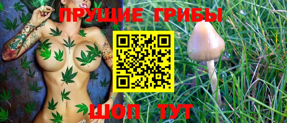 Бутурлиновка  Псилоцибиновые грибы ЛСД  Псилоцибиновые грибы MAGIC MUSHROOMS  Вход с VPN 