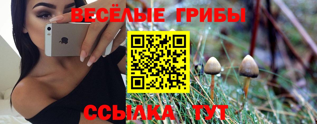 Псилоцибиновые грибы GOLDEN TEACHER Бутурлиновка